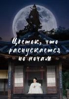  Цветок, что распускается по ночам смотреть онлайн сериал 1 сезон 