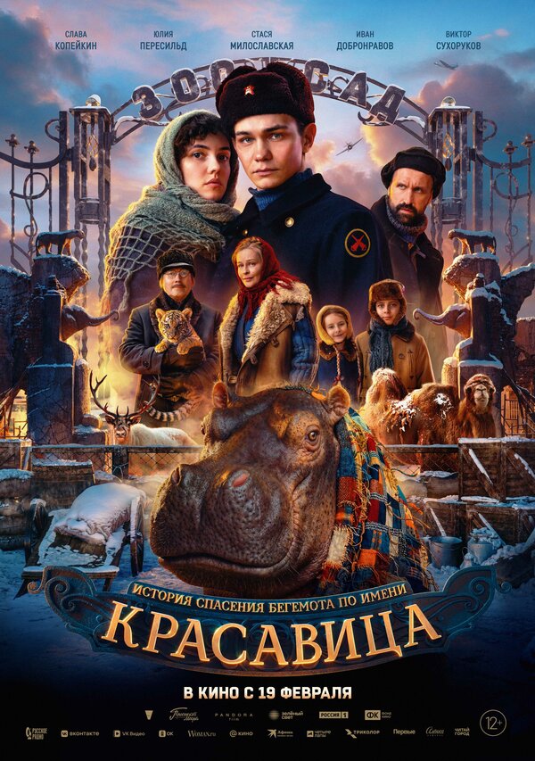  Красавица смотреть онлайн (2025) 